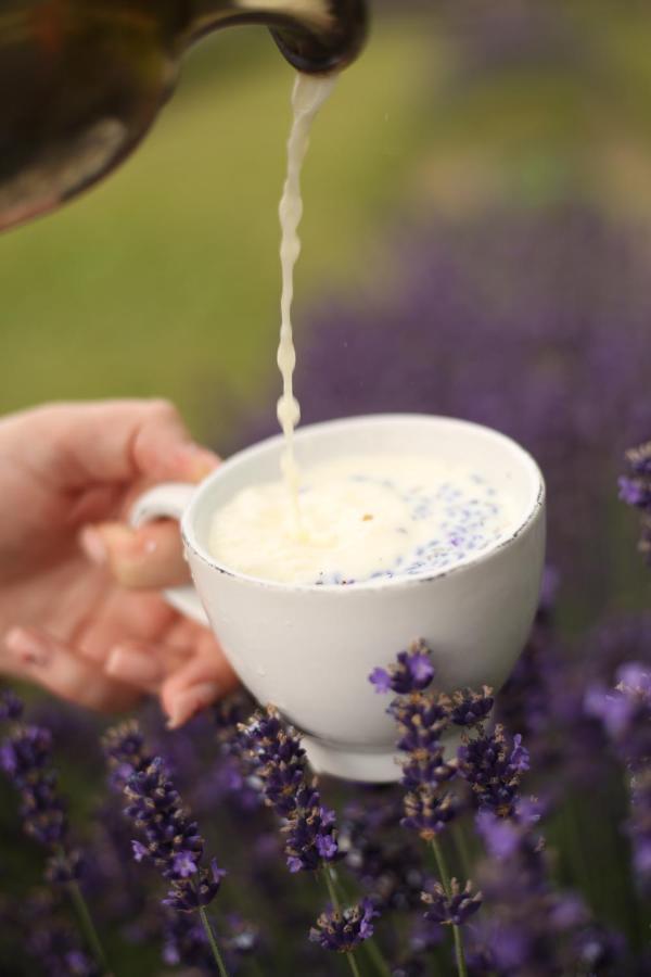 Lavender Valley Perekrestnoye 외부 사진