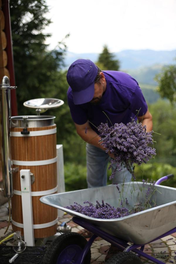 Lavender Valley Perekrestnoye 외부 사진